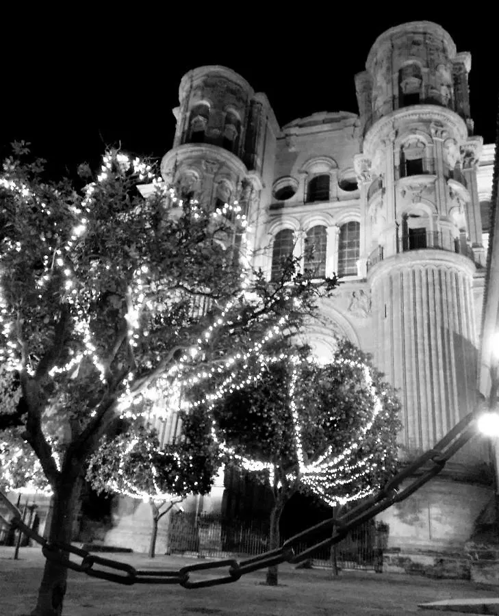 Apartamento Centro Historico Malaga Apartment 0*,